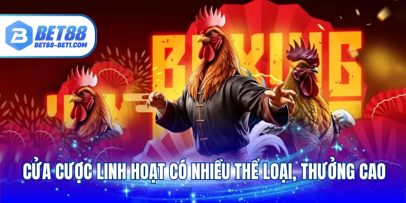 Cửa cược linh hoạt có nhiều thể loại, thưởng cao