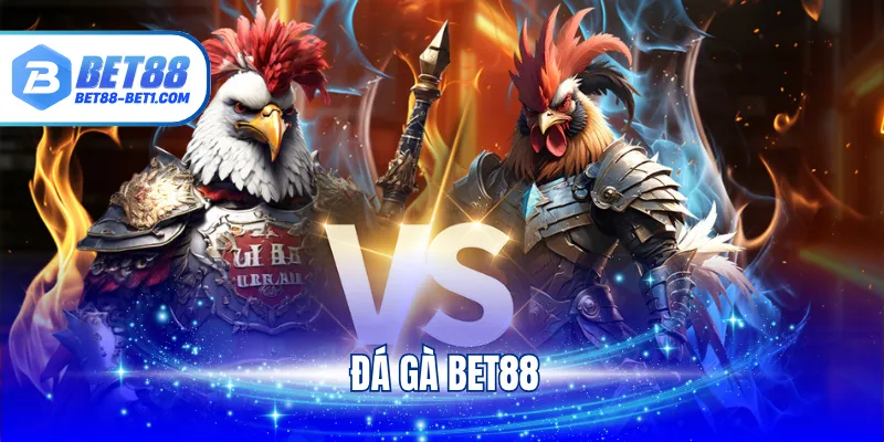 Đá Gà Bet88 - Mãn Nhãn Cùng Trận Đấu Từ Chiến Kê