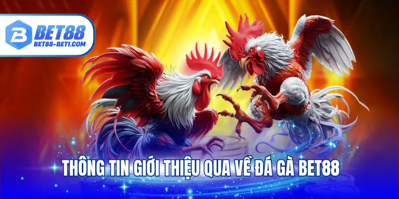 Thông tin giới thiệu qua về đá gà Bet88